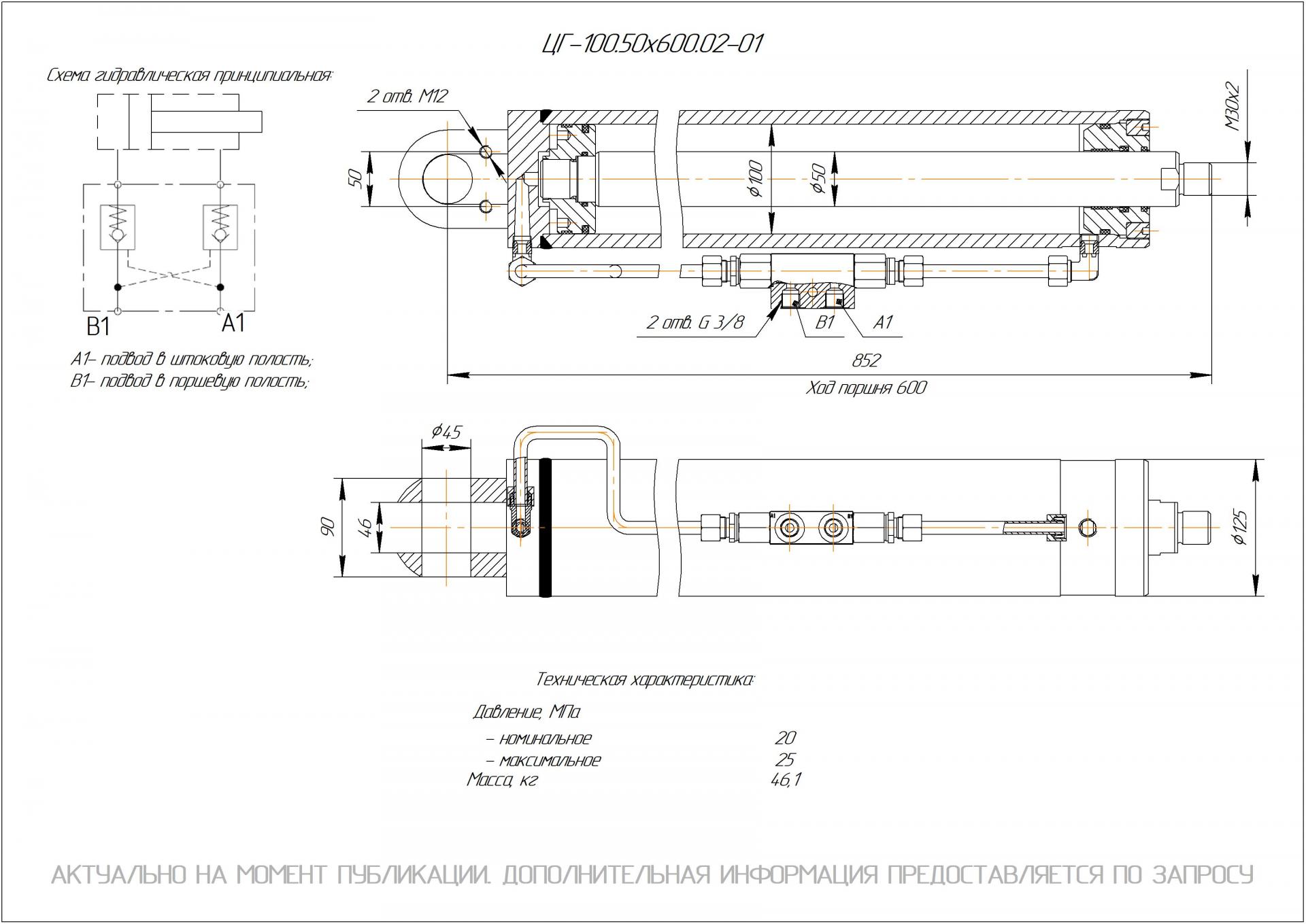 ЦГ-100.50х600.02-01 Гидроцилиндр