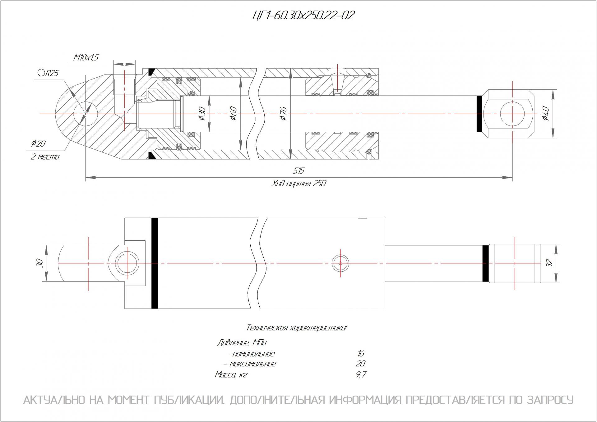 ЦГ1-60.30х250.22-02 Гидроцилиндр